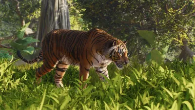 Planet Zoo 2 Habitat Design Guide: Welfare, Terrain and Foliage