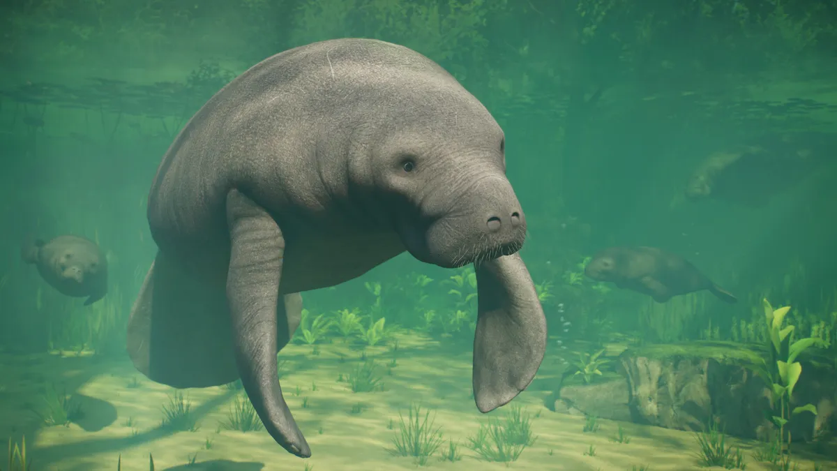 A freshwater scene with manatees grazing in a planted aquarium